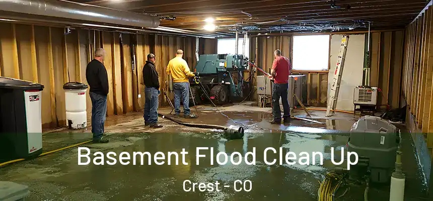  Basement Flood Clean Up Crest - CO
