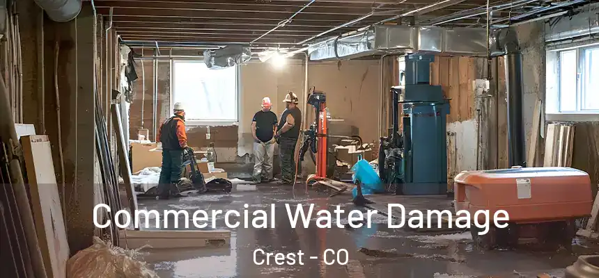  Commercial Water Damage Crest - CO