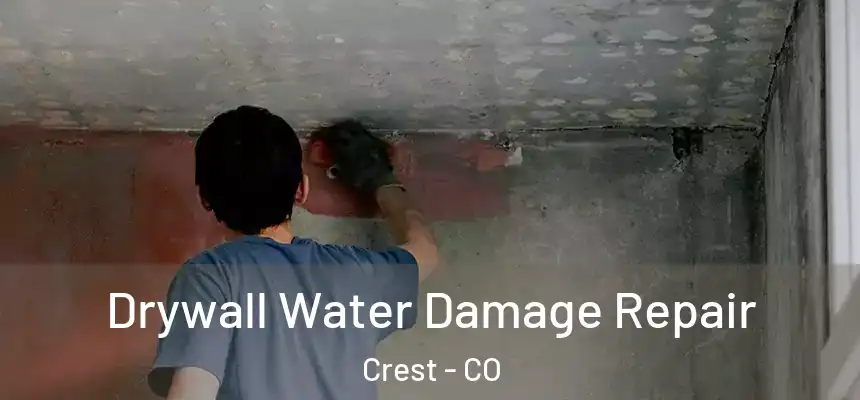  Drywall Water Damage Repair Crest - CO