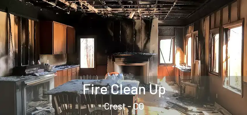 Fire Clean Up Crest - CO