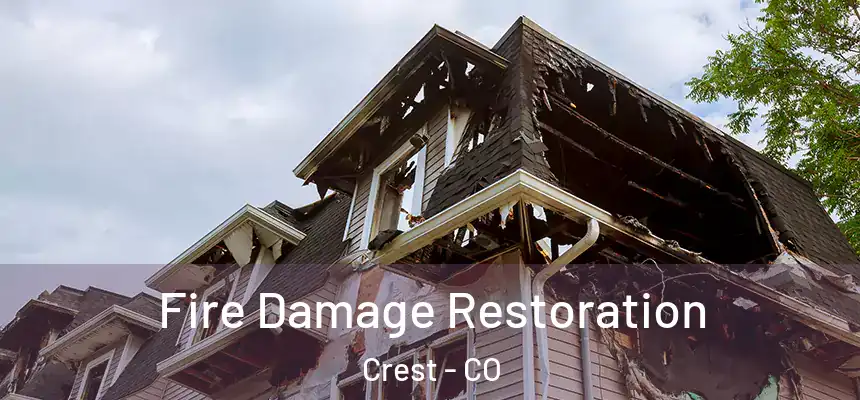  Fire Damage Restoration Crest - CO