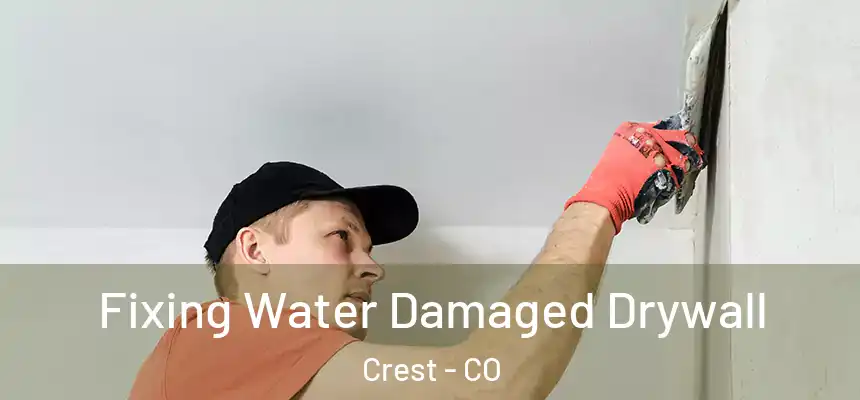  Fixing Water Damaged Drywall Crest - CO