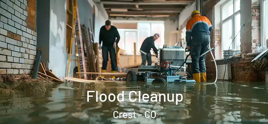 Flood Cleanup Crest - CO
