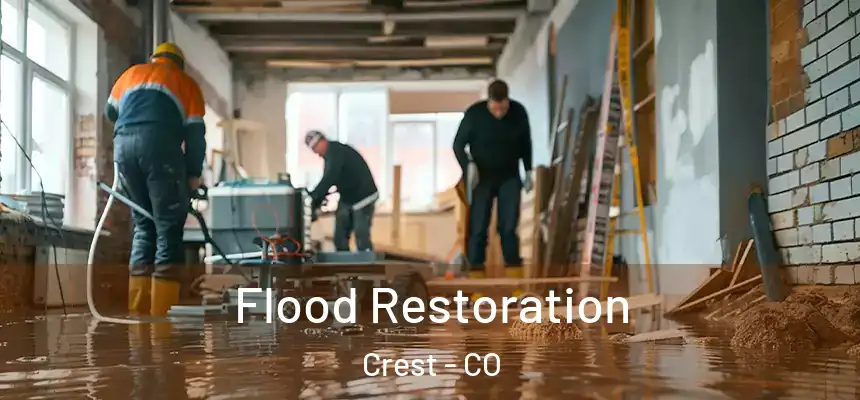  Flood Restoration Crest - CO