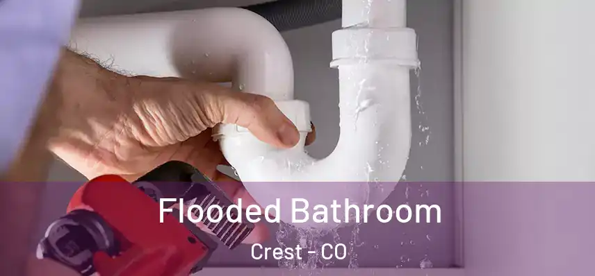  Flooded Bathroom Crest - CO