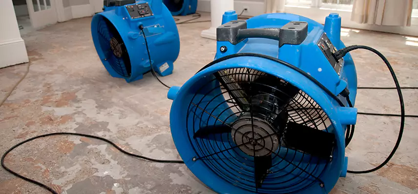 Sewage Removal Services in Crest