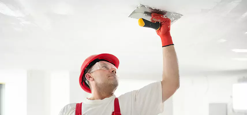 Basement Water Damage Repair in Crest