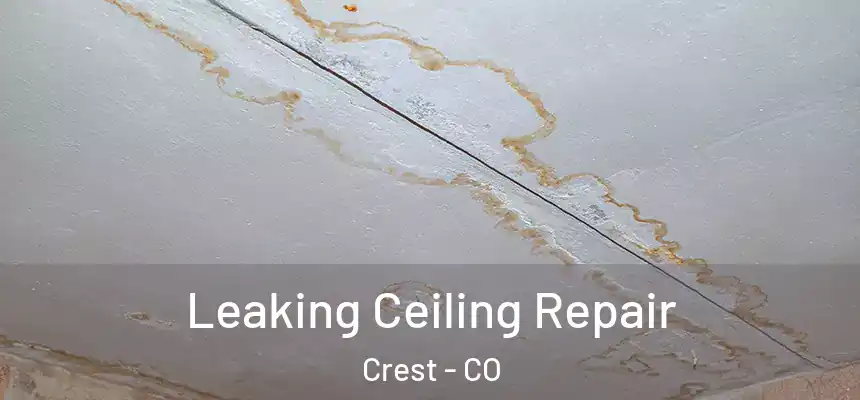  Leaking Ceiling Repair Crest - CO