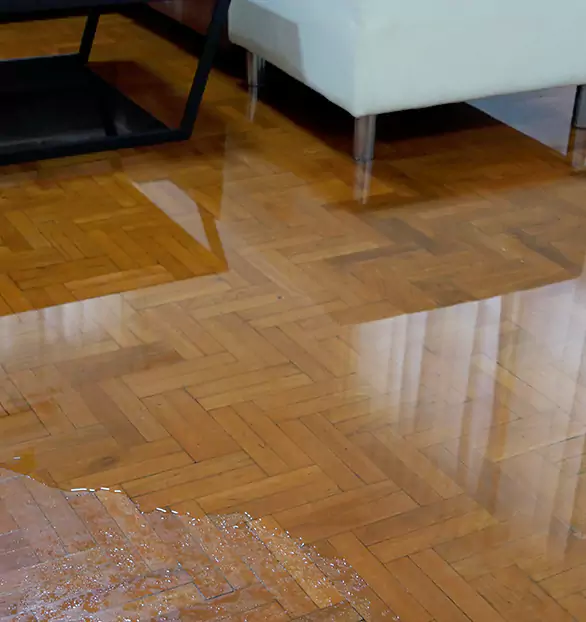 Trusted Emergency Water Restoration Company in Crest, CO