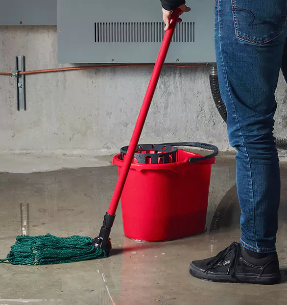 Trusted Sewage Cleanup Company in Crest, CO