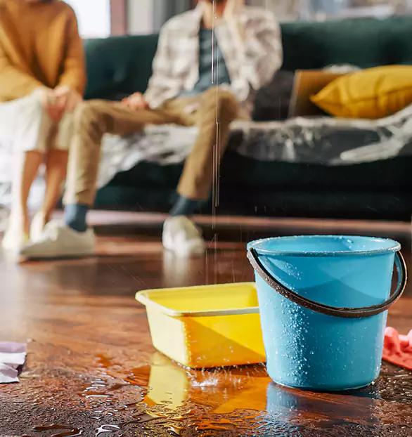 Trusted Water Remediation Company in Crest, CO