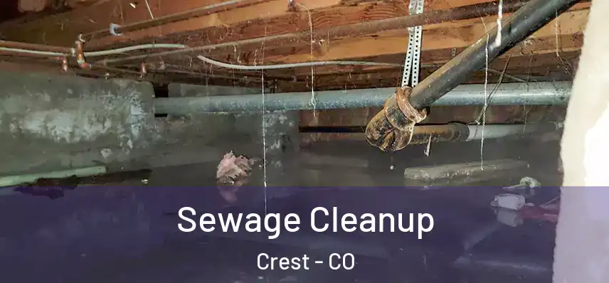  Sewage Cleanup Crest - CO