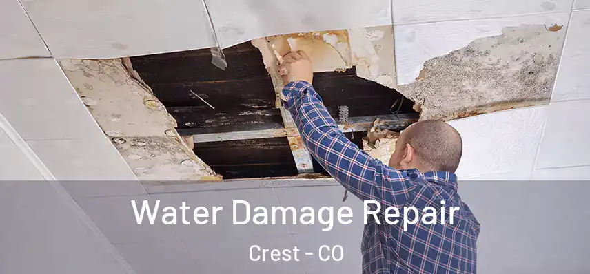  Water Damage Repair Crest - CO