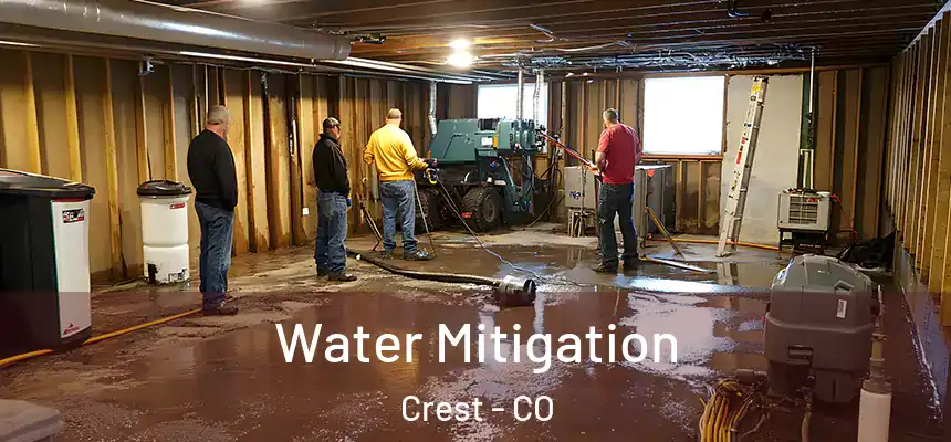 Water Mitigation Crest - CO