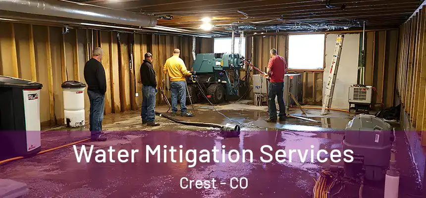 Water Mitigation Services Crest - CO