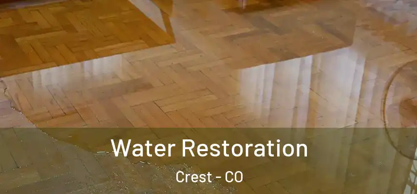  Water Restoration Crest - CO