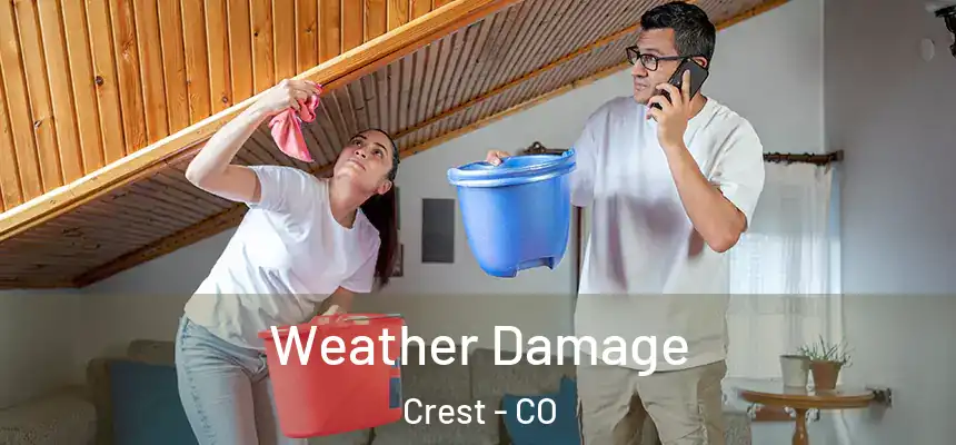 Weather Damage Crest - CO